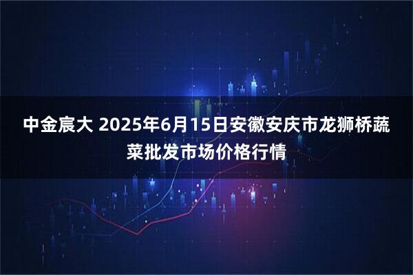 中金宸大 2025年6月15日安徽安庆市龙狮桥蔬菜批发市场价格行情