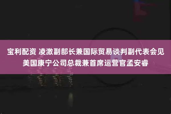 宝利配资 凌激副部长兼国际贸易谈判副代表会见美国康宁公司总裁兼首席运营官孟安睿