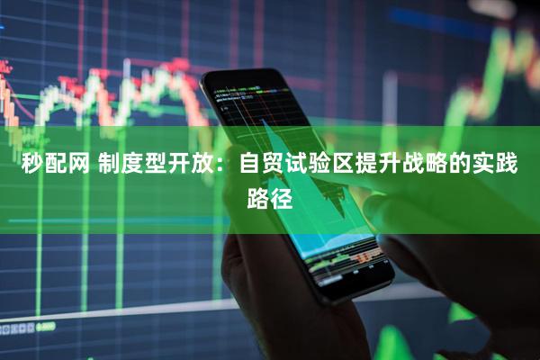 秒配网 制度型开放：自贸试验区提升战略的实践路径